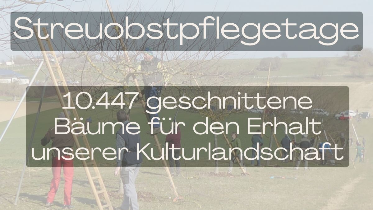 Landesweite Streuobst Pflegetage 2026